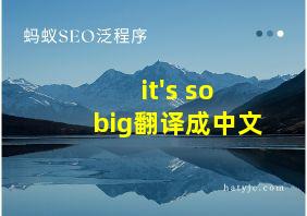 it's so big翻译成中文