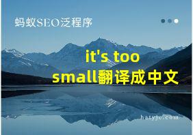 it's too small翻译成中文