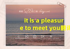 it is a pleasure to meet you翻译