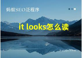 it looks怎么读