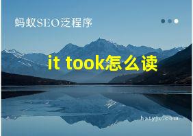 it took怎么读