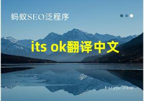 its ok翻译中文