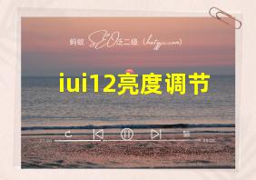 iui12亮度调节