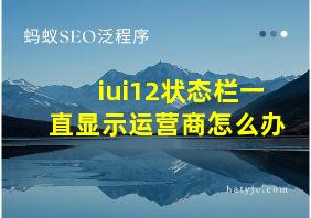 iui12状态栏一直显示运营商怎么办