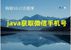 java获取微信手机号