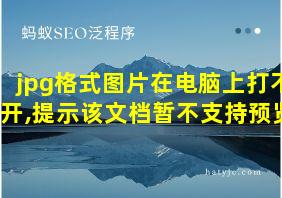 jpg格式图片在电脑上打不开,提示该文档暂不支持预览