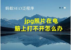 jpg照片在电脑上打不开怎么办