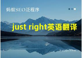 just right英语翻译