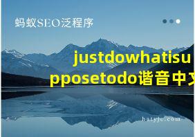 justdowhatisupposetodo谐音中文