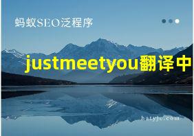 justmeetyou翻译中文