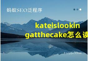 kateislookingatthecake怎么读