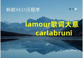 lamour歌词大意carlabruni