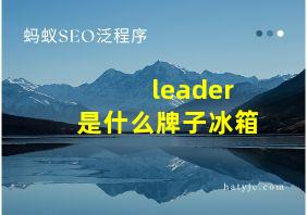 leader是什么牌子冰箱