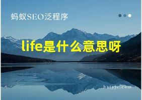 life是什么意思呀