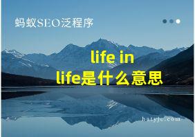 life in life是什么意思