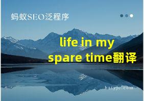 life in my spare time翻译