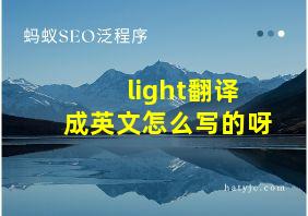 light翻译成英文怎么写的呀