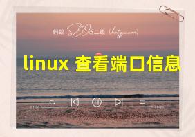 linux 查看端口信息