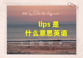 lips 是什么意思英语