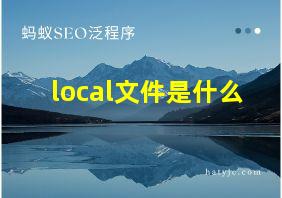 local文件是什么