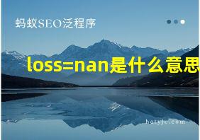 loss=nan是什么意思