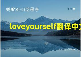 loveyourself翻译中文