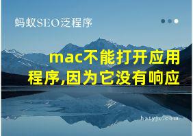 mac不能打开应用程序,因为它没有响应