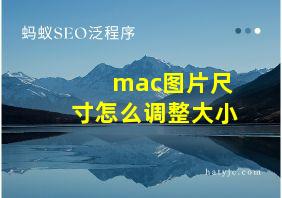 mac图片尺寸怎么调整大小