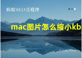 mac图片怎么缩小kb