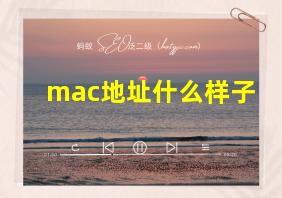 mac地址什么样子