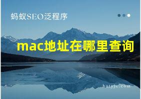 mac地址在哪里查询