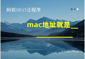 mac地址就是____________