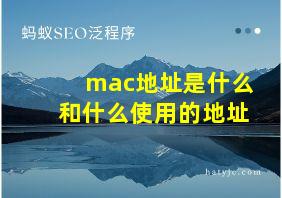 mac地址是什么和什么使用的地址