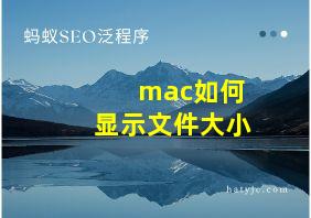 mac如何显示文件大小