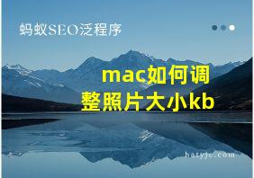 mac如何调整照片大小kb