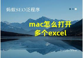 mac怎么打开多个excel