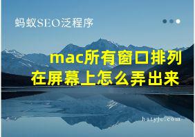 mac所有窗口排列在屏幕上怎么弄出来