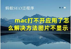 mac打不开应用了怎么解决方法图片不显示