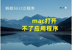 mac打开不了应用程序