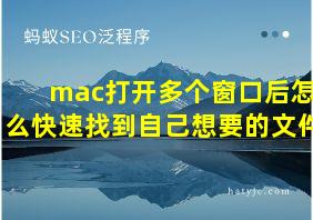 mac打开多个窗口后怎么快速找到自己想要的文件