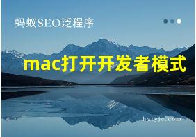 mac打开开发者模式