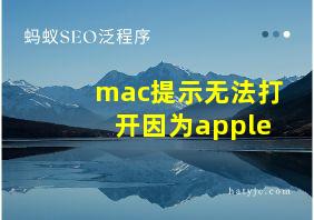 mac提示无法打开因为apple