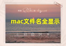 mac文件名全显示