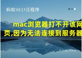 mac浏览器打不开该网页,因为无法连接到服务器