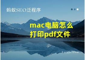 mac电脑怎么打印pdf文件