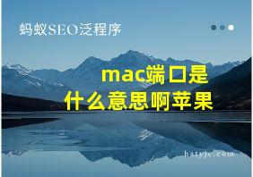 mac端口是什么意思啊苹果