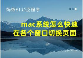 mac系统怎么快速在各个窗口切换页面