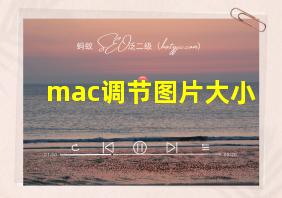 mac调节图片大小