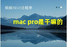 mac pro是干嘛的