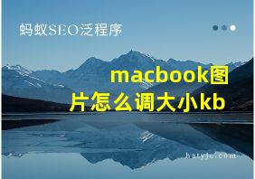 macbook图片怎么调大小kb